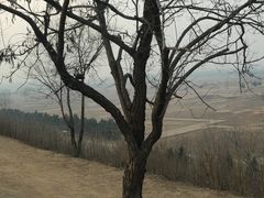 -汉长安城未央宫国家考古遗址公园