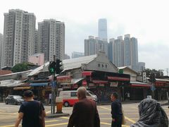 -油麻地果栏