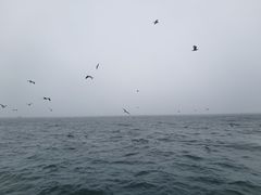 -大连星海广场音乐喷泉