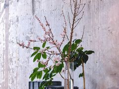 -VOYAGE COFFEE 咖啡烘焙工坊店(798艺术区店)