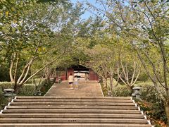 -牛首山文化旅游区