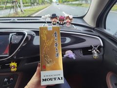 -盒马X会员店(上海森兰商都店)