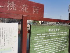 -桃花堤公园
