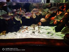 -太平洋海底世界