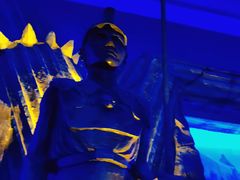 -芜湖新华联大白鲸海洋公园