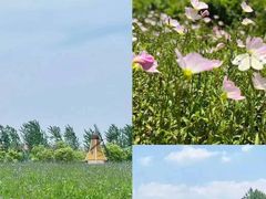 -雨花胜境