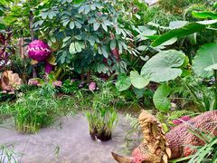 -沈阳植物园