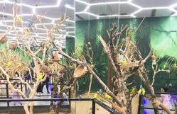 -酷嗒动物文化乐园(cutezoo西溪乐天城店)