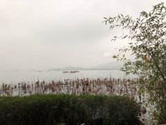 -湖畔居茶楼(湖滨店)