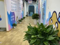 -博沃思·专注力·心理咨询·家庭教育(世豪中心)