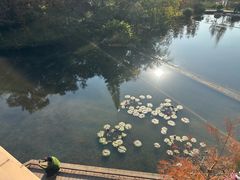 -云溪植物园