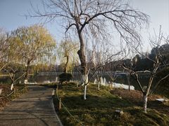 -圩墩遗址公园