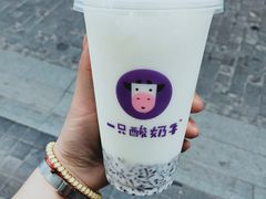 -一只酸奶牛(八一路店)