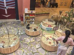 -卡通尼·Safari非洲探索乐园·生日会(金桥国际商业广场店)