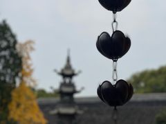-西园寺素食(西园弄戒幢律寺店)