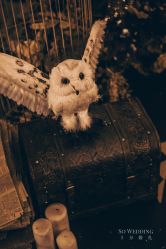 -西安威斯汀大酒店·宴会厅