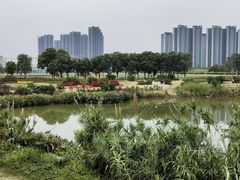 -光明小镇欢乐田园