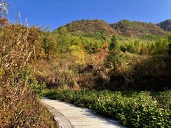 -塔川景区
