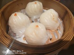 招牌虾饺皇-岭南小生·粤港点心(南门口店)