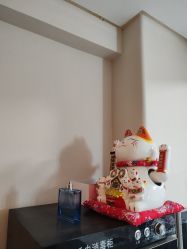 -苗塑堂减肥艾灸