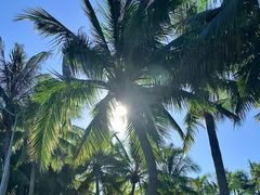 -深圳湾公园(南山区)