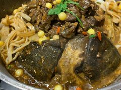 甲鱼锅底-甲大帅·甲鱼·椰子鸡主题餐厅(唐家店)