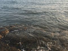 -青岛第三海水浴场