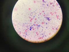-圣宠动物医院·犬猫专科·影像中心·外科中心