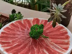 -悦见花开·花园里的火锅·露营·下午茶
