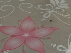 -汉堡王(房山绿地缤纷城店)