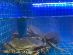 -七欣天香辣蟹火锅(无锡金太湖国际城店)