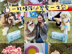 -上海神旺大酒店