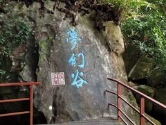 -呀诺达热带雨林