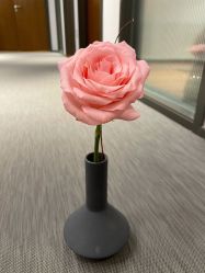 -FineYoga梵音瑜伽·普拉提