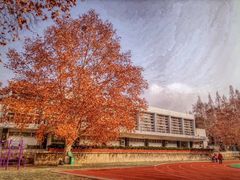 -中南财经政法大学(首义校区)