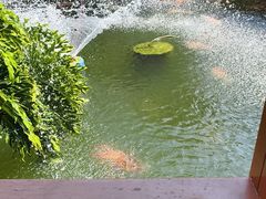 -香麒园·过桥米线·南湖雅宴