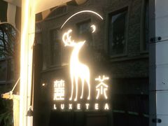 -麓茶