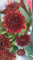 -Oasis Beauty水磨坊科技美肤中心