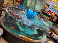 -魏铭鱼头捞饭(晋阳路店)