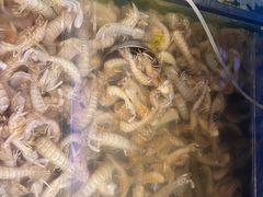 -海天一色海景自助餐厅(西港花园店)