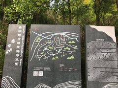 -桑洲油菜花景区