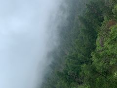 -玉苍山国家森林公园