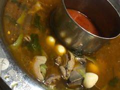 -丽清大别山鹅火锅(红皖家园店)