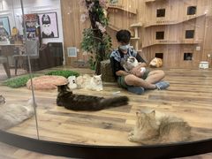 -袖虎·猫馆(体育西路店)