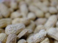 -栗满秋(燕丰西坝河店)