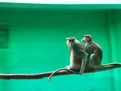 -北京野生动物园