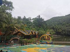 -西双版纳原始森林公园