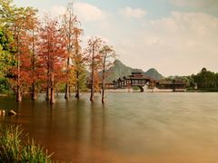 -南宁花花大世界景区