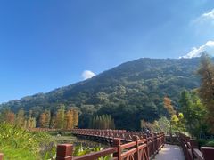 -广州市石门国家森林公园