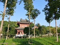 DSC_0301-焦山风景区